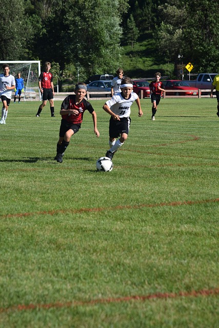 我其实不明 我其实不明