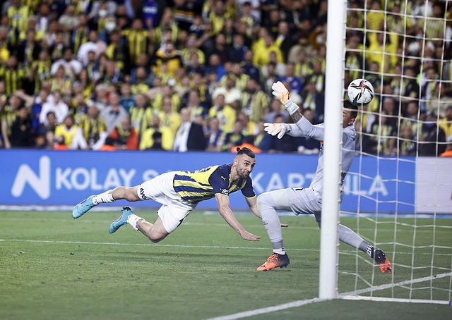 所取得的荣 所取得的荣