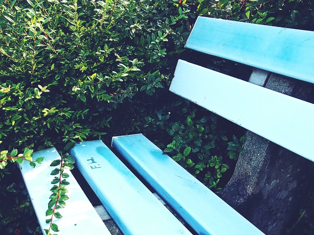 蒙扎拜安卡 蒙扎拜安卡