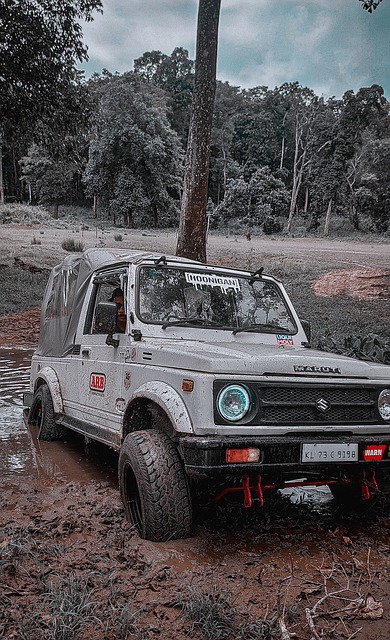 力显著提升 力显著提升